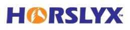 Horslyx liksteen