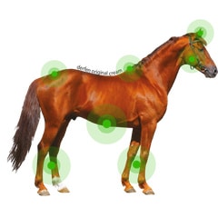 Derfen - Afbeelding 2