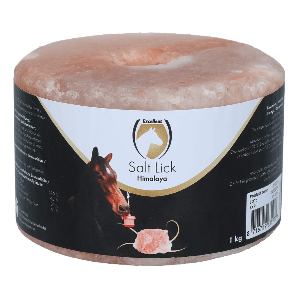 Excellent Horse Salt Lick Himalaya