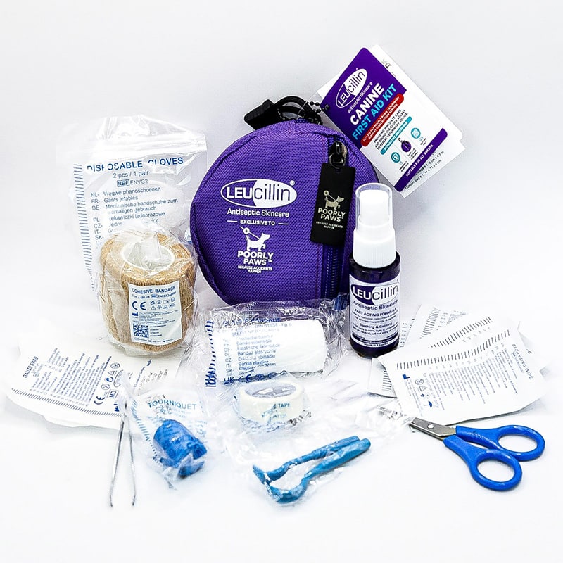 Leucillin First Aid Kit - Afbeelding 2